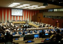 Malteser International obtient le statut consultatif spécial auprès du Conseil économique et social (ECOSOC) des Nations Unies